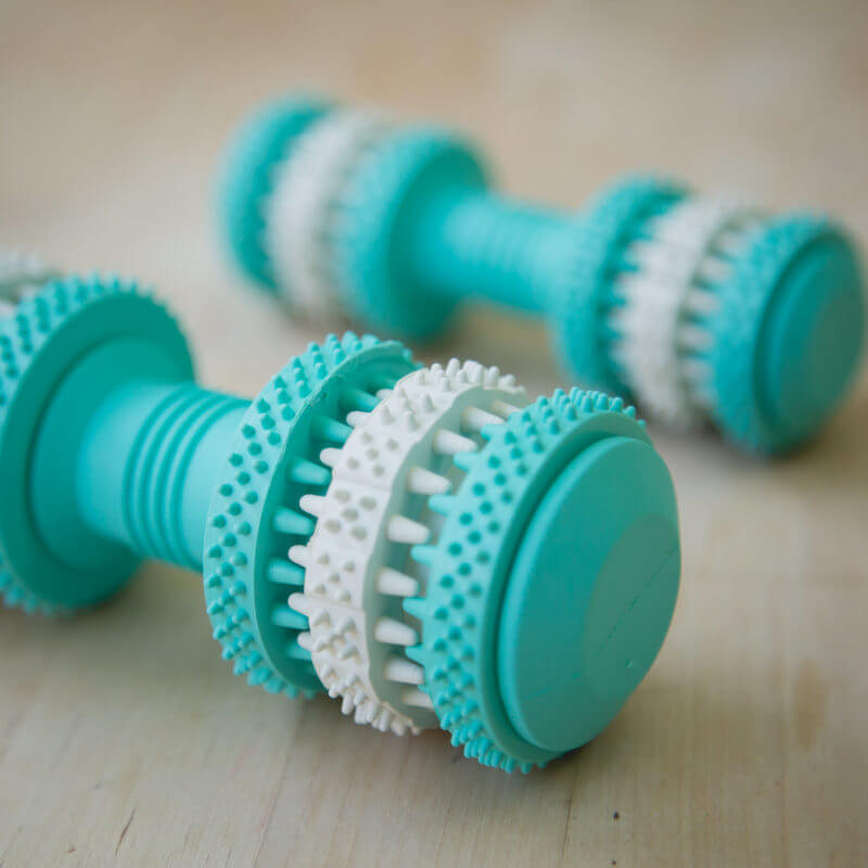 Fresh Mint Scented Brushing Bone by Project Play ™