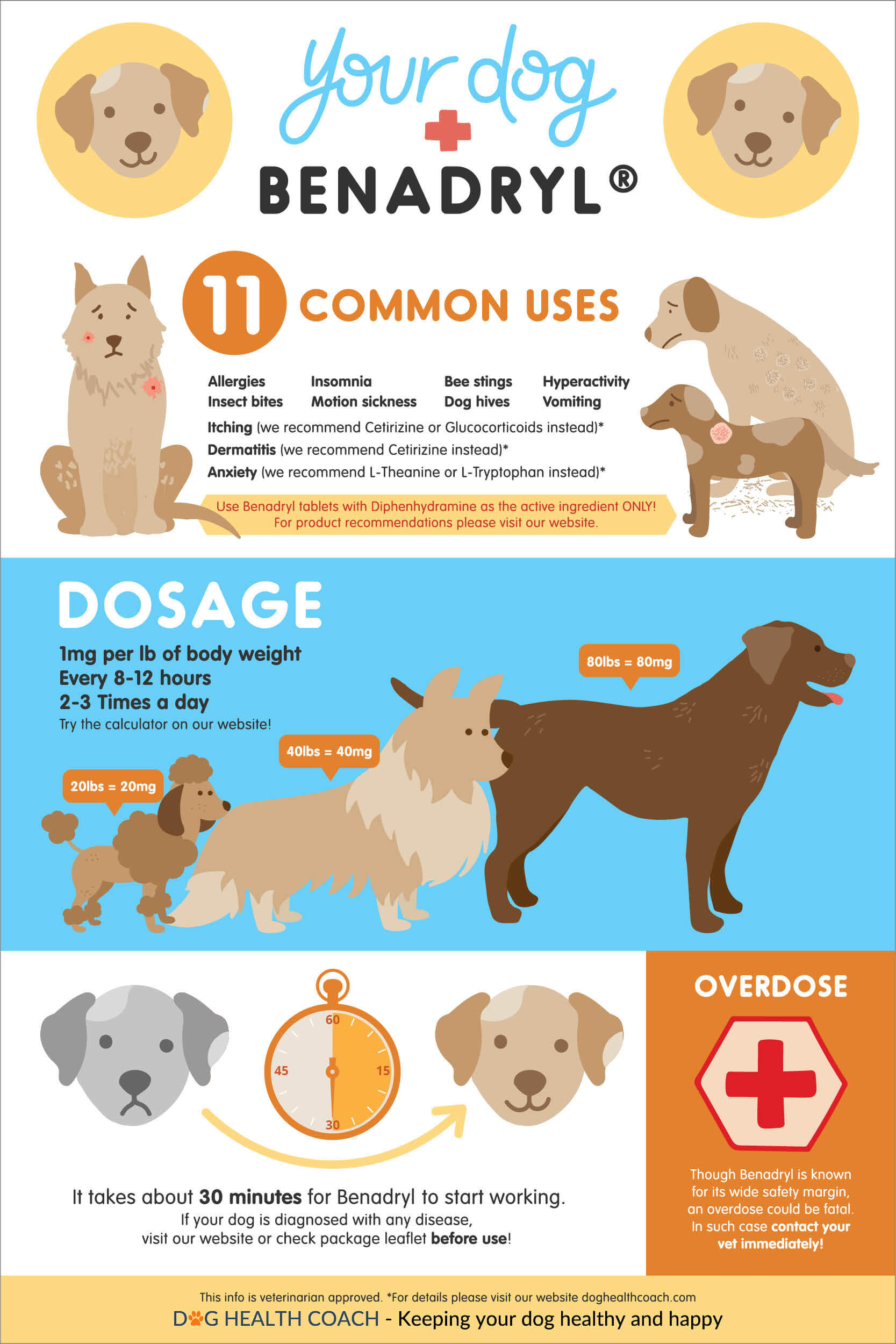 Image showcasing Benadryl Dosage For Dogs: Does Benadryl Make Dogs Sleepy?