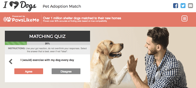 my ideal dog breed quiz