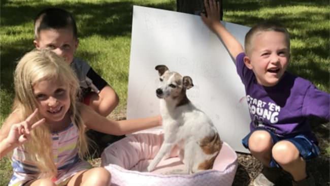 Family Throws “Bye Bye Party” To Celebrate Dying Foster Dog’s Life