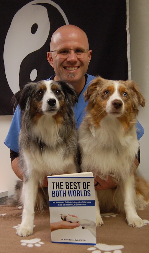 Dr. Michael Selmer on Benadryl for Dogs