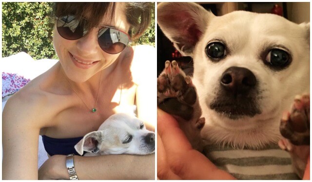 Selma Blair Posts Heartbroken Farewell After The Unexpected Death Of Her Rescue Dog