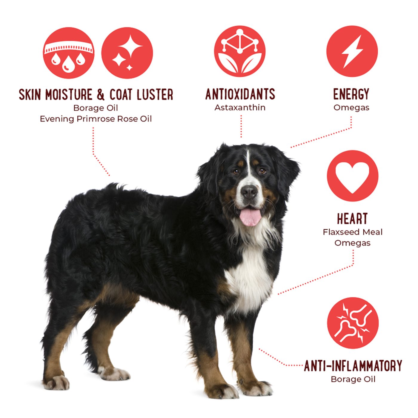 1 Krill Oil for Dogs Omega 369 Select Grain Free Skin & Coat Chews