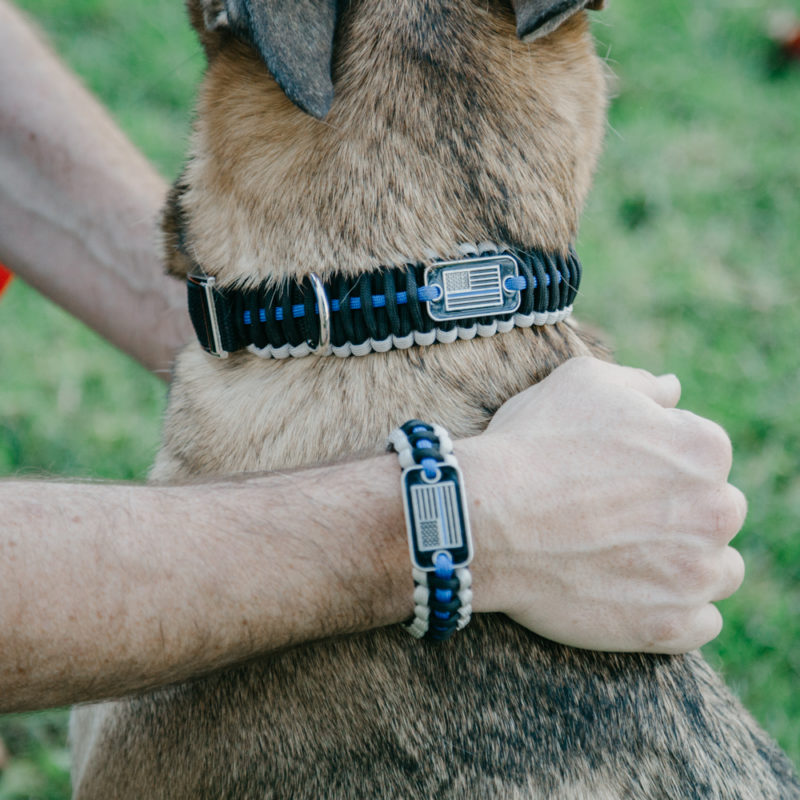 paracord puppy collar