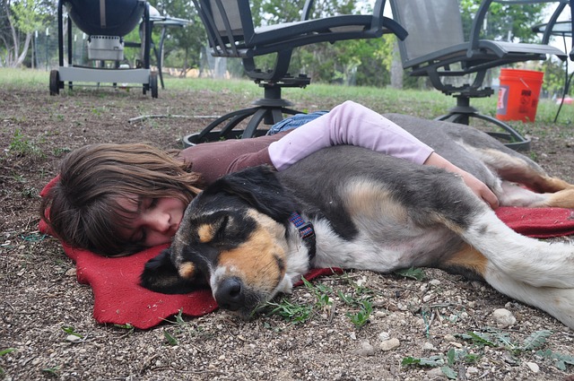 6 Amazing Ways Dogs Can Help Those Suffering From Depression