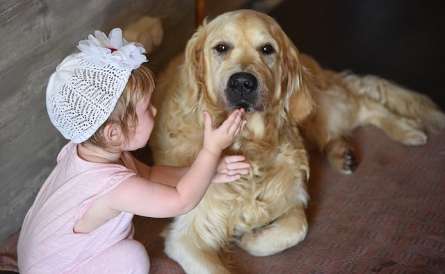 The Best Dog Breeds For Children With Autism