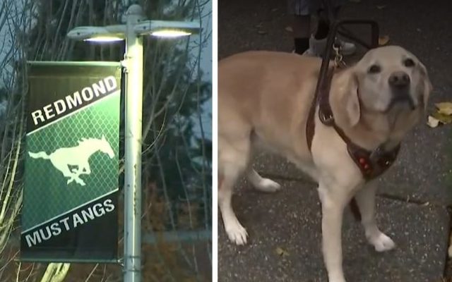 School District Suspends Mom From Acting As Son’s Service Dog Handler