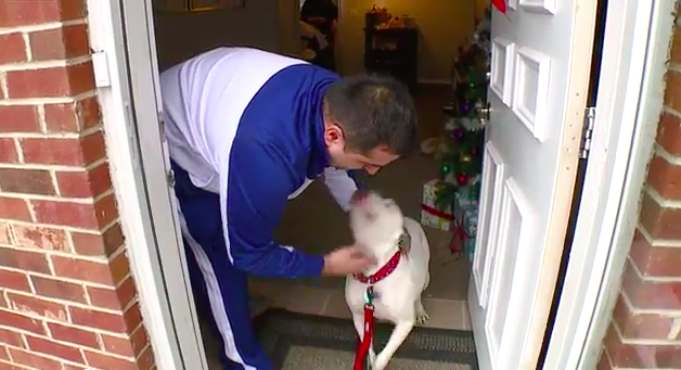 dog daycare for vacation