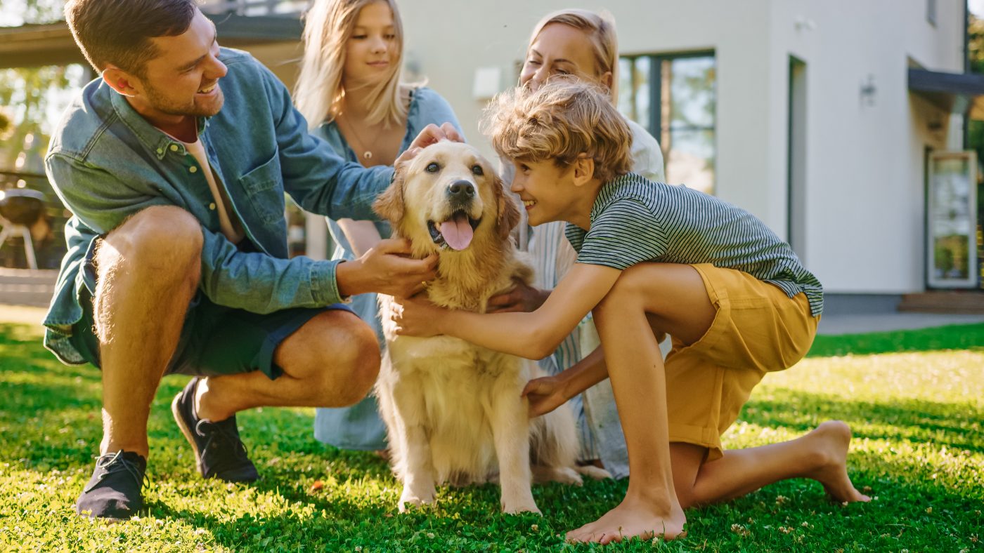 dog dad gifts