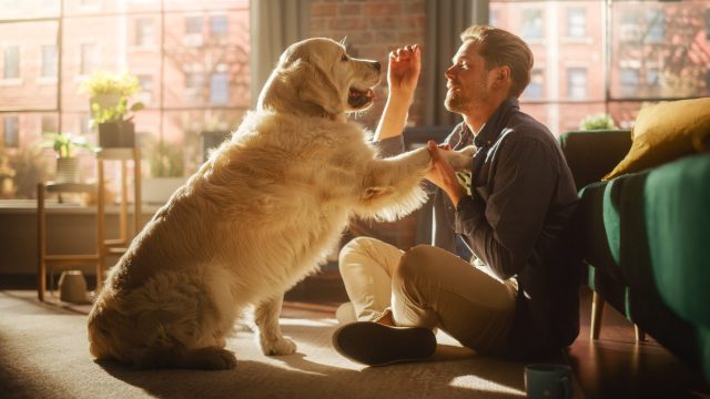 gifts for boyfriends who love dogs