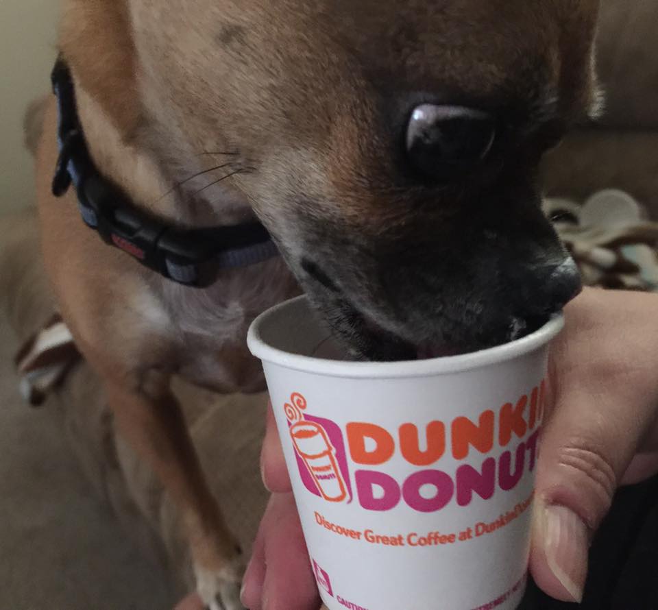 SONIC Has A Secret Pup Cup. Here's How You Can Order One for Free.