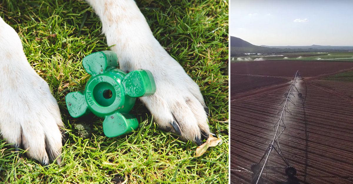 Farmers Have Kept This Insanely Durable Dog Toy a Secret for 12 Years!