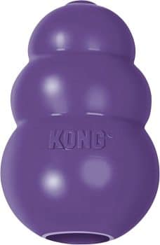 KONG Senior - Dog Toy