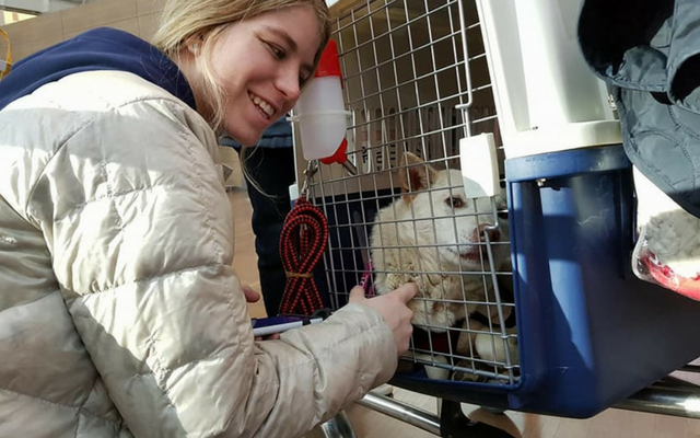 Teenaged Olympian Helps South Korean Rescue Dog Find New Home