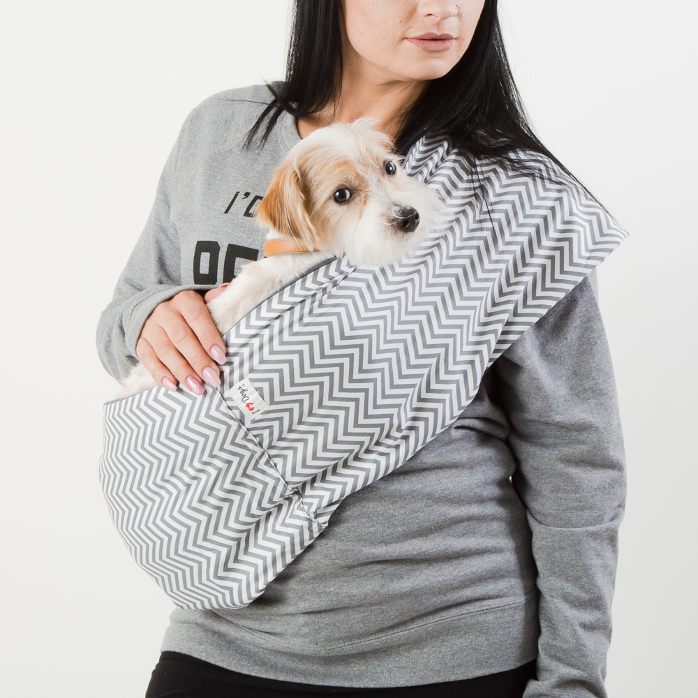 How A Dog Carrier Sling Can Keep Your 