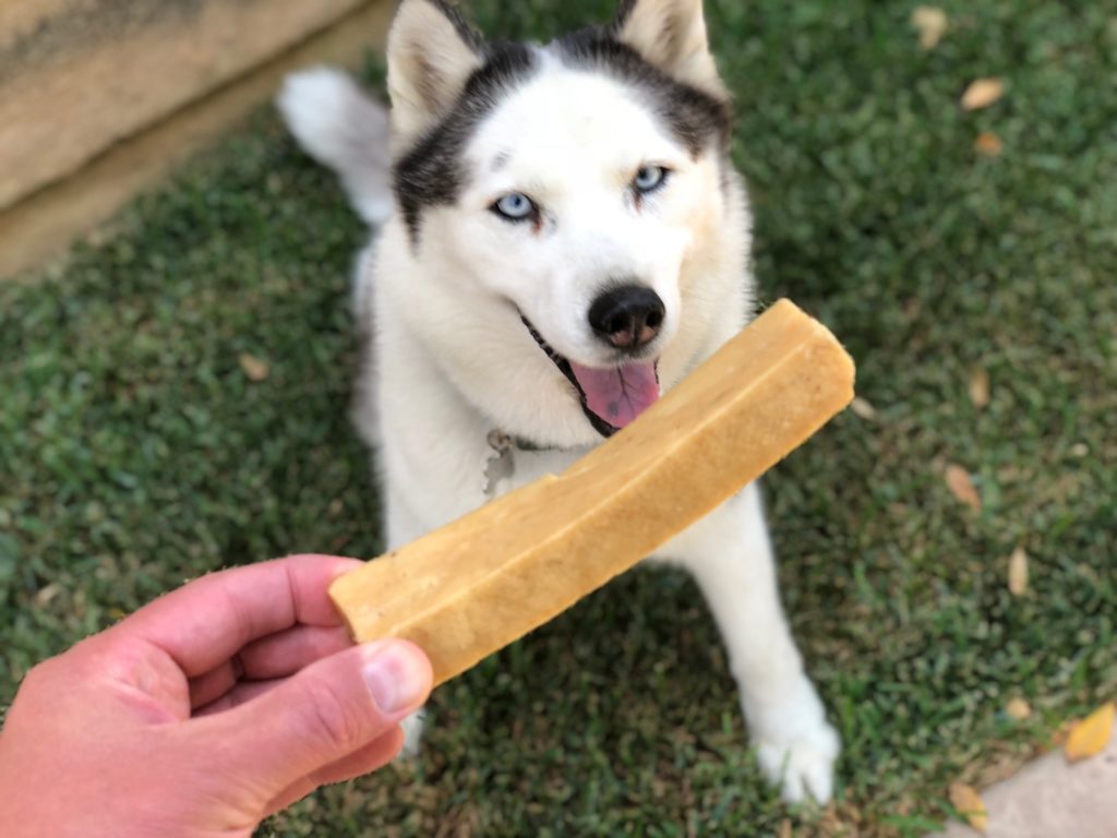 This Funky Looking Cheese Chew Is About To Be Your Dog’s New Addiction