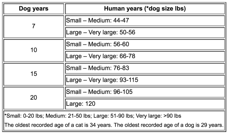 Dog Years: How To Determine Your Pup’s Real Age