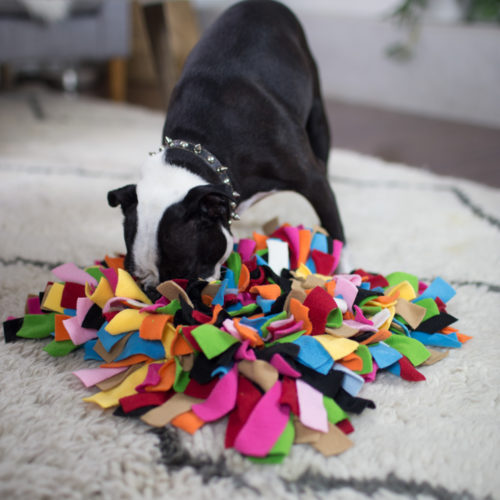 snuffle rug dogs