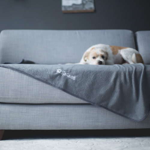 embroidered dog blankets