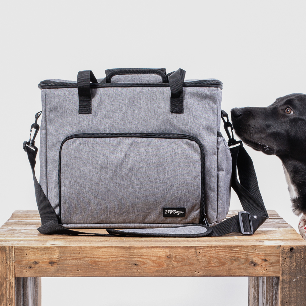 pet travel bag