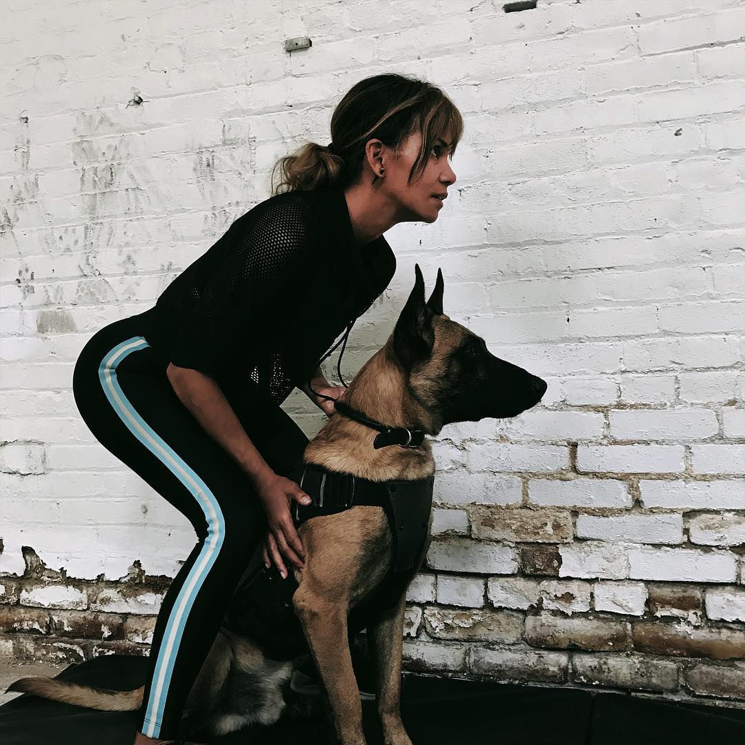 Halle Berry Had A Hand In Training Her Canine Co-Stars For John Wick: Chapter 3 ...