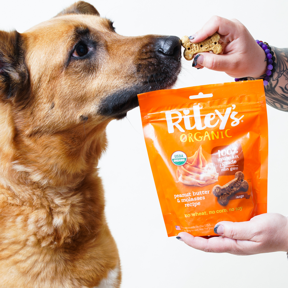 These HumanGrade Dog Treats Went Viral and Taste Amazing to Pups & People