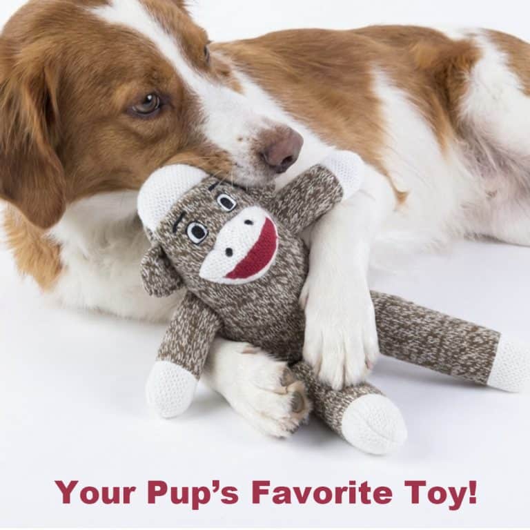 Your Dog's Very Own Sock Monkey Toy -  Helps Feed Hungry Shelter Dogs in Need