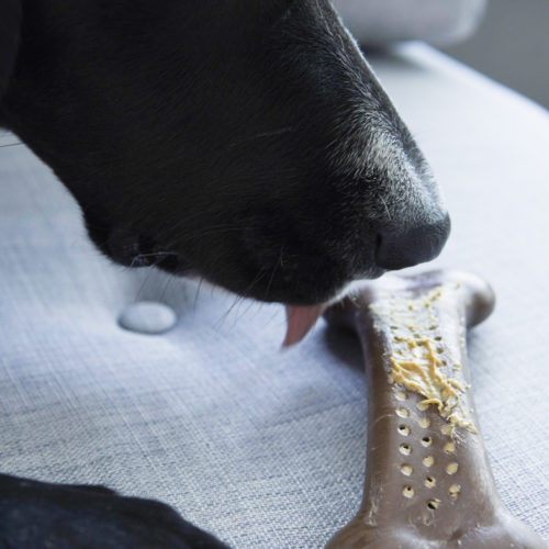 peanut butter ears for dogs