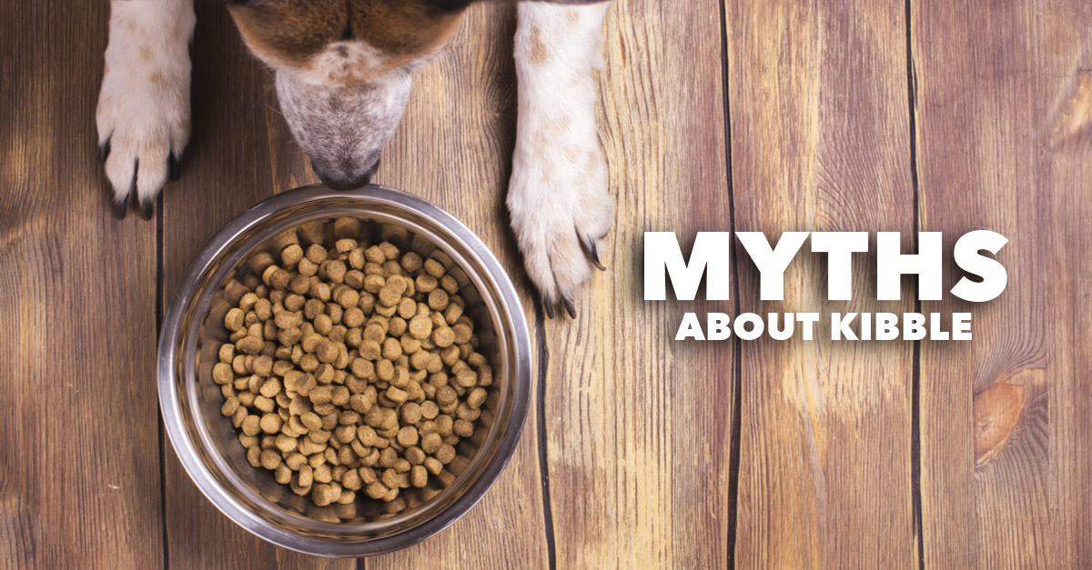 Common Myths about Dry Dog Food