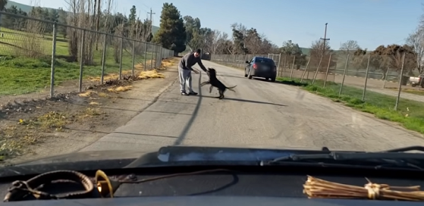 man ditches dog in Bakersfield
