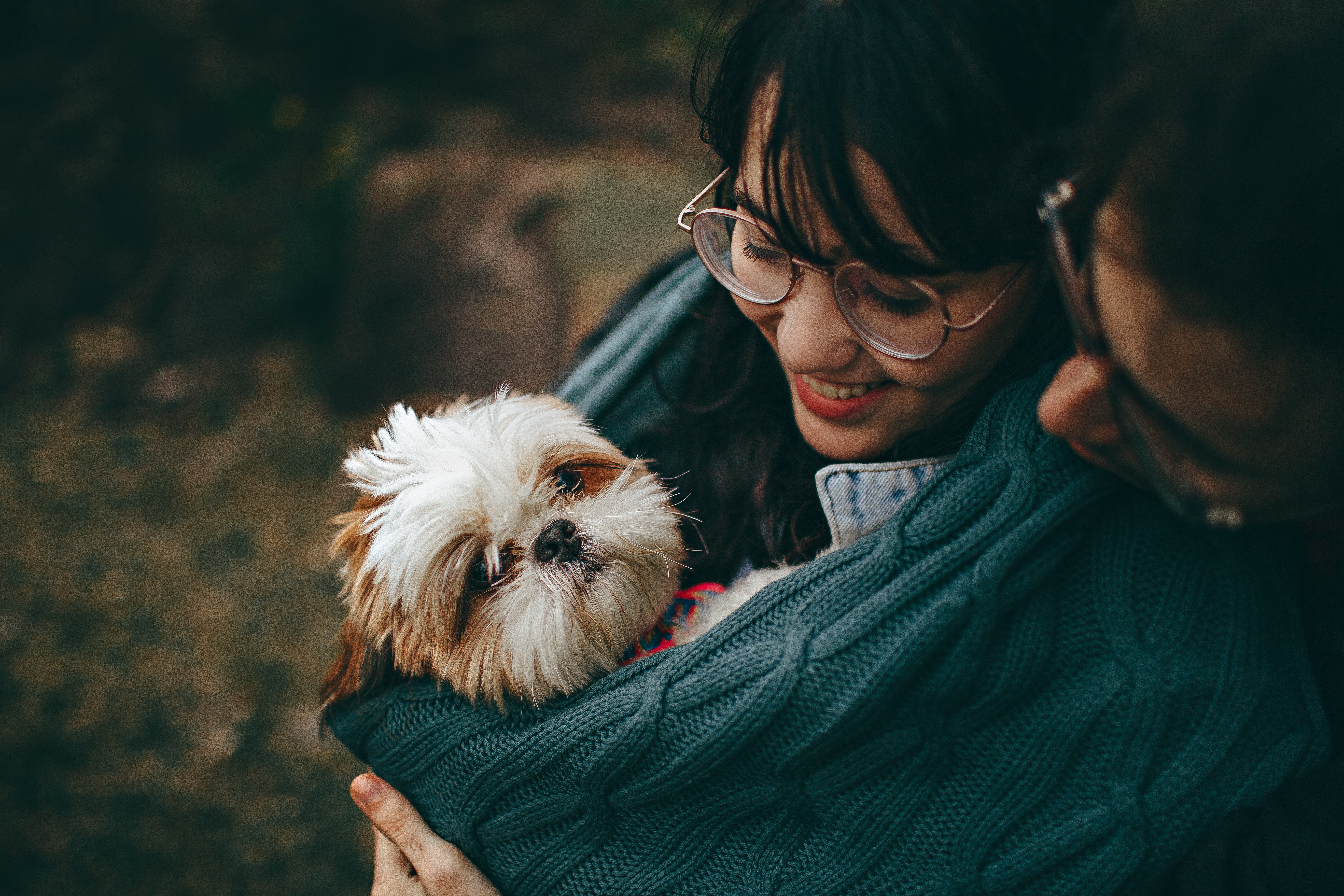 do dogs understand baby talk