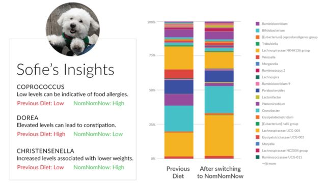 NomNomNow Microbiome Testing Kit results