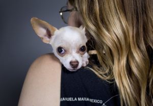 Tony Hawk quickly found his forever home with Georgia Bramhall. (Photo by Austin-American Statesman)