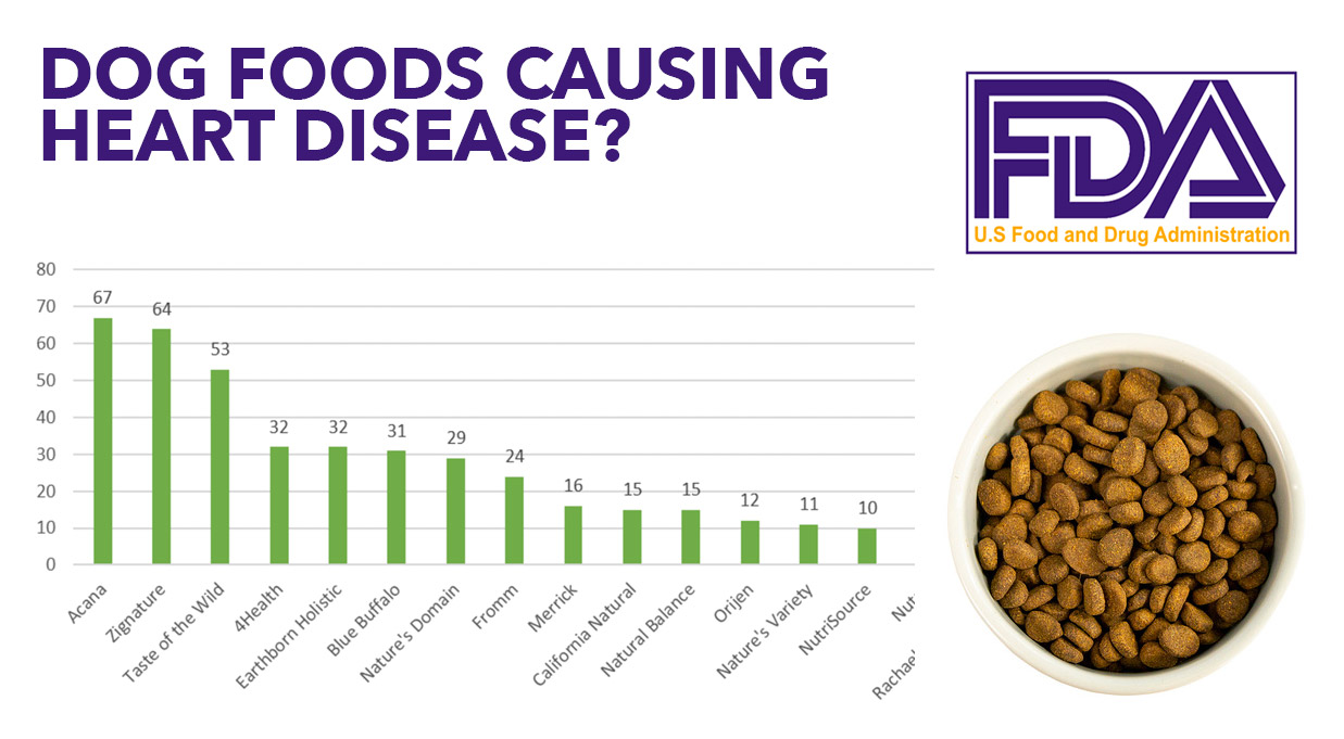 dog foods that are causing heart disease