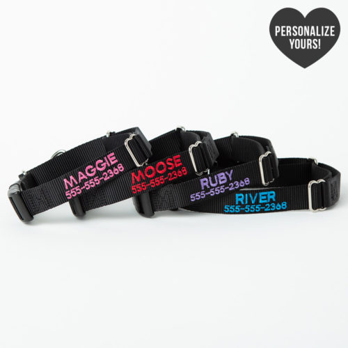 Escape-Proof Martingale Customizable Collar – Black
