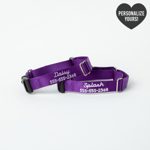 Secure Dog Escape-Proof Martingale Customizable Collar – Purple, Script