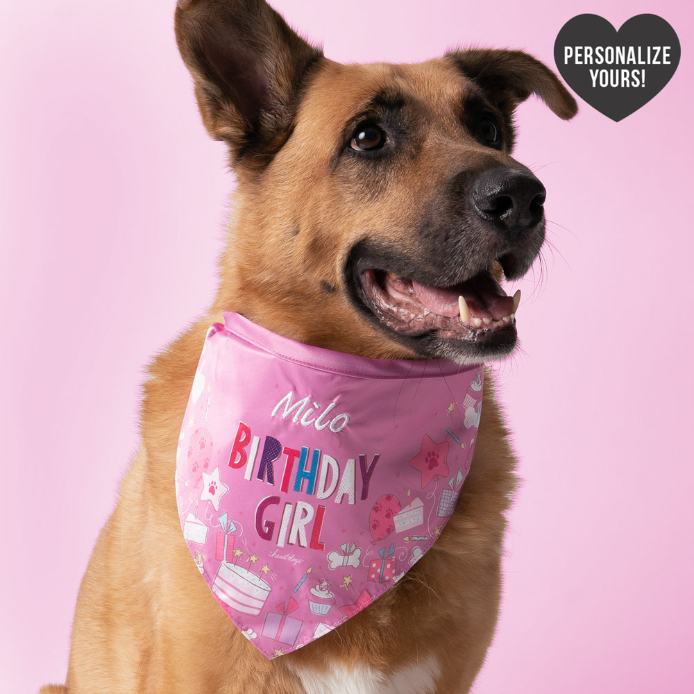 Image of Customizable Birthday Girl Bandana- Your Pups Name Here!