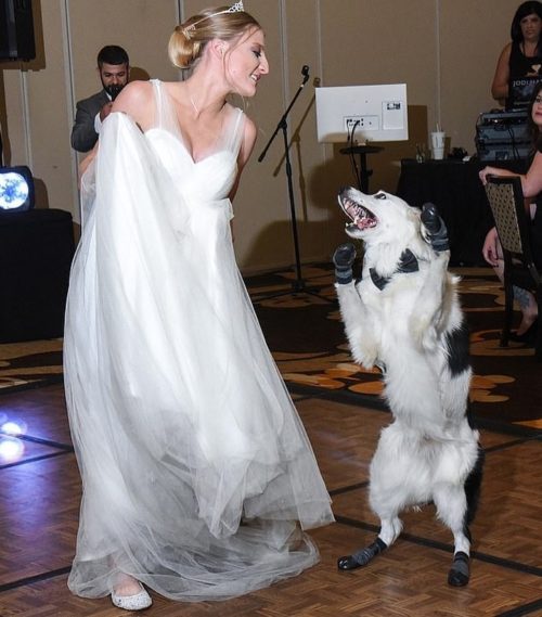 bride dancing with dog