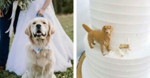 Bear Wedding Cake