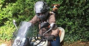 Biker Dog Cover