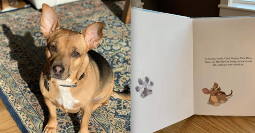 Rescue Dog's Children's Book Helps Other Dogs In Need