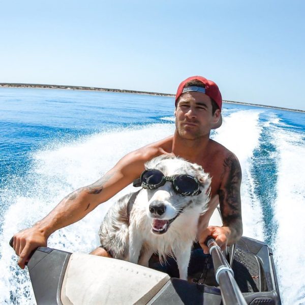 YouTuber Saves His Curious Dog From Sharks