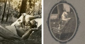 Vintage Dog Photos