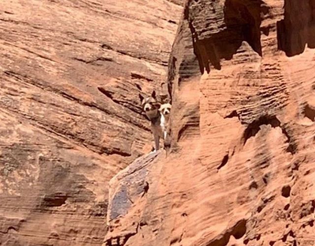 canyon rescue