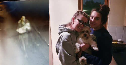 Social Media Army And CCTV Help Reunite Stolen Dog With Family