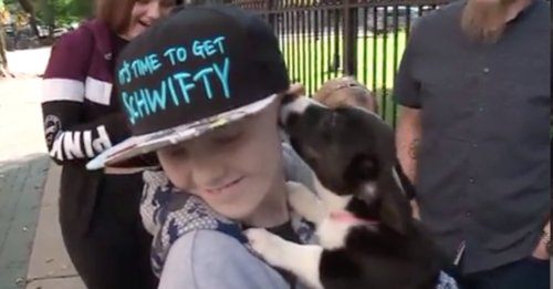 Child Cancer Patient Keeps Hope Alive Watching Dogs Play And Gets His Wish of Having One Of His Own