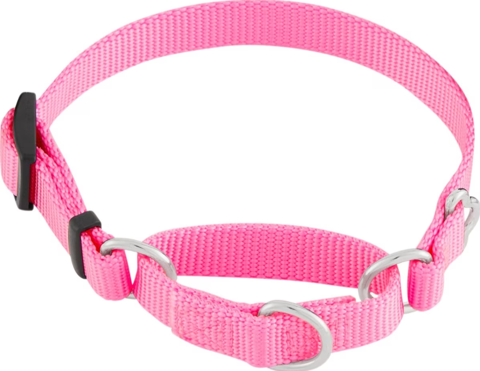 Frisco Solid Nylon Slip-On Martingale Dog Collar ($8.43)