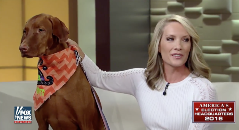 Fox Personality Dana Perino Shares What Helped Her After Her Dog's Passing