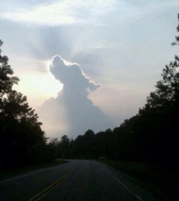 Image result for dog shaped clouds