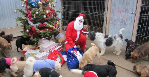 Santa Visits Romanian Shelter Each Year To Pass Out Toys & Goodies